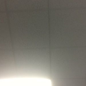 Meet your Posher, Jayden